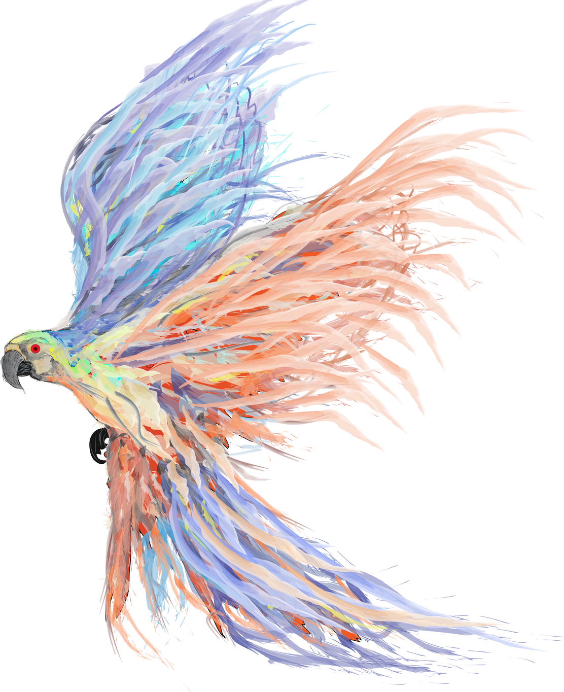 Colorful Parrot Bird